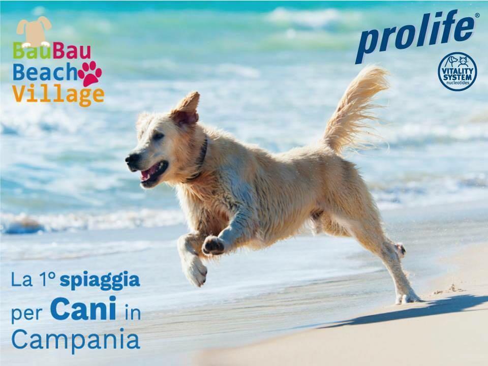 Bau Bau Beach Village Foce del Sele Buitenkant foto