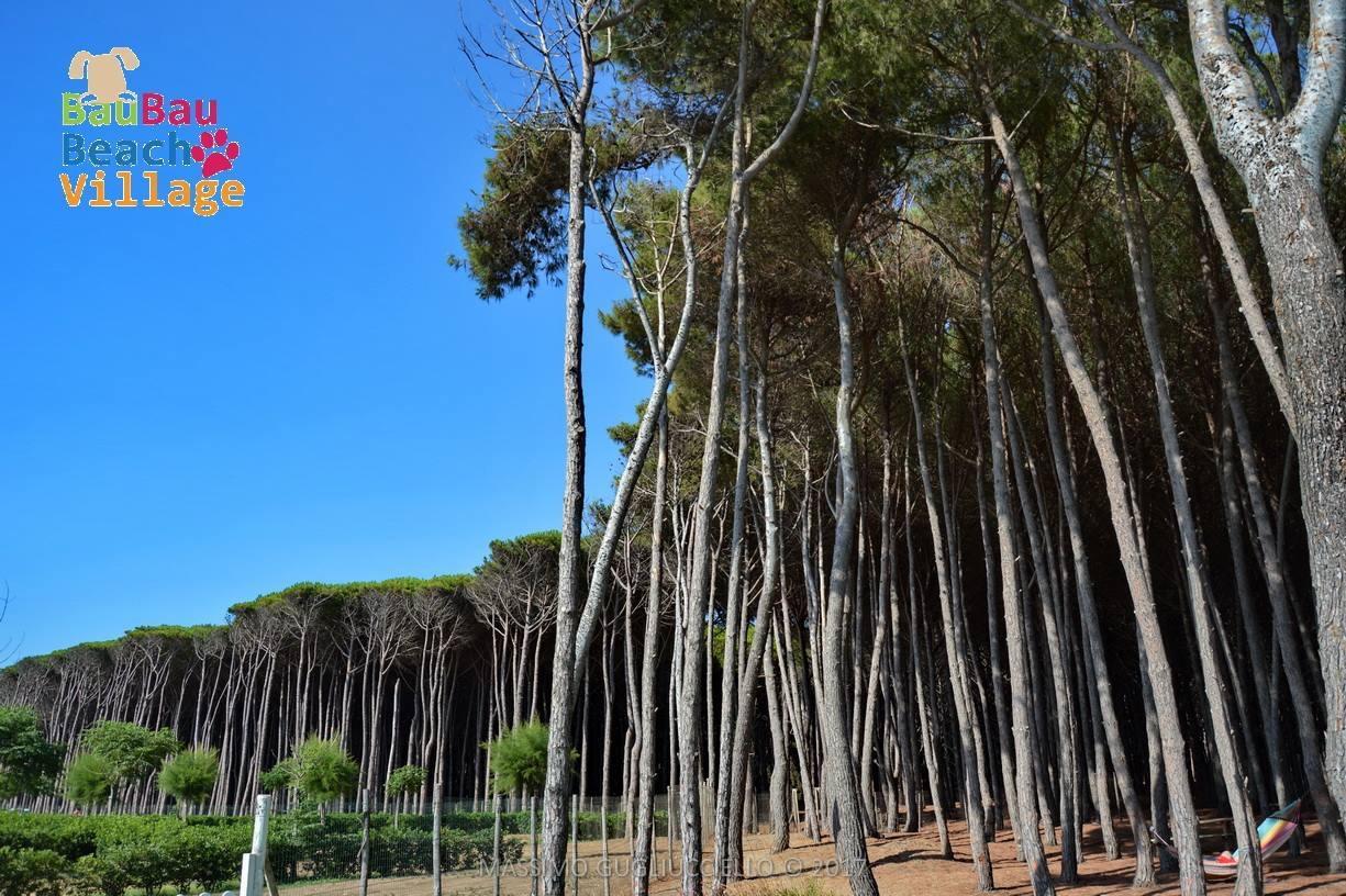 Bau Bau Beach Village Foce del Sele Buitenkant foto